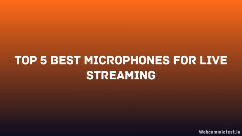 Top 5 Best Mic Under 4K - Choose The Best Mic
